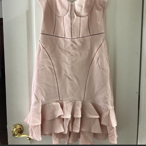 Gorgeous Jonathan Simkhai Blush Bustier Dress - Picture 3 of 4
